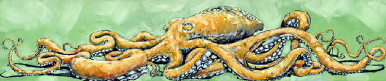 Chef Scott's Octopus by Craig Brumfield
