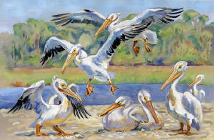 "Joining the Rest" by Chris Stebly